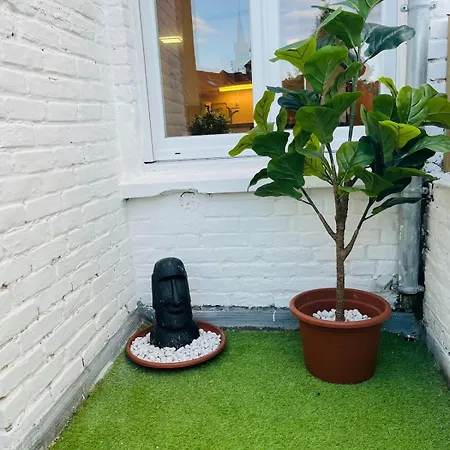 Le Standing Terrasse Bethunois - Centre - Confort *
